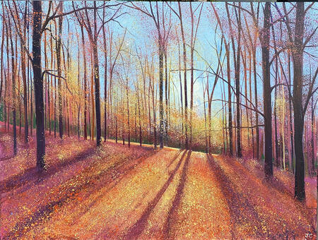 `Autumn Morning Sun SOLD
